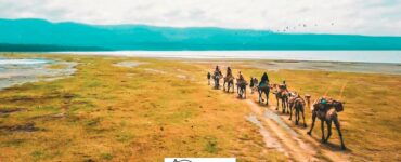 Enjoy Our Camel Rides Excursion At Mbweha Camp