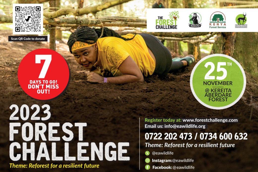 FOREST CHALLENGE WK 46