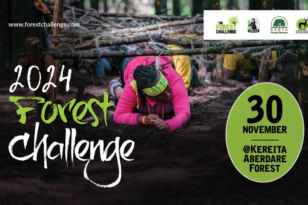 Forest Challenge Featured