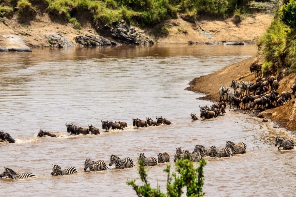 Mara River Camp featured