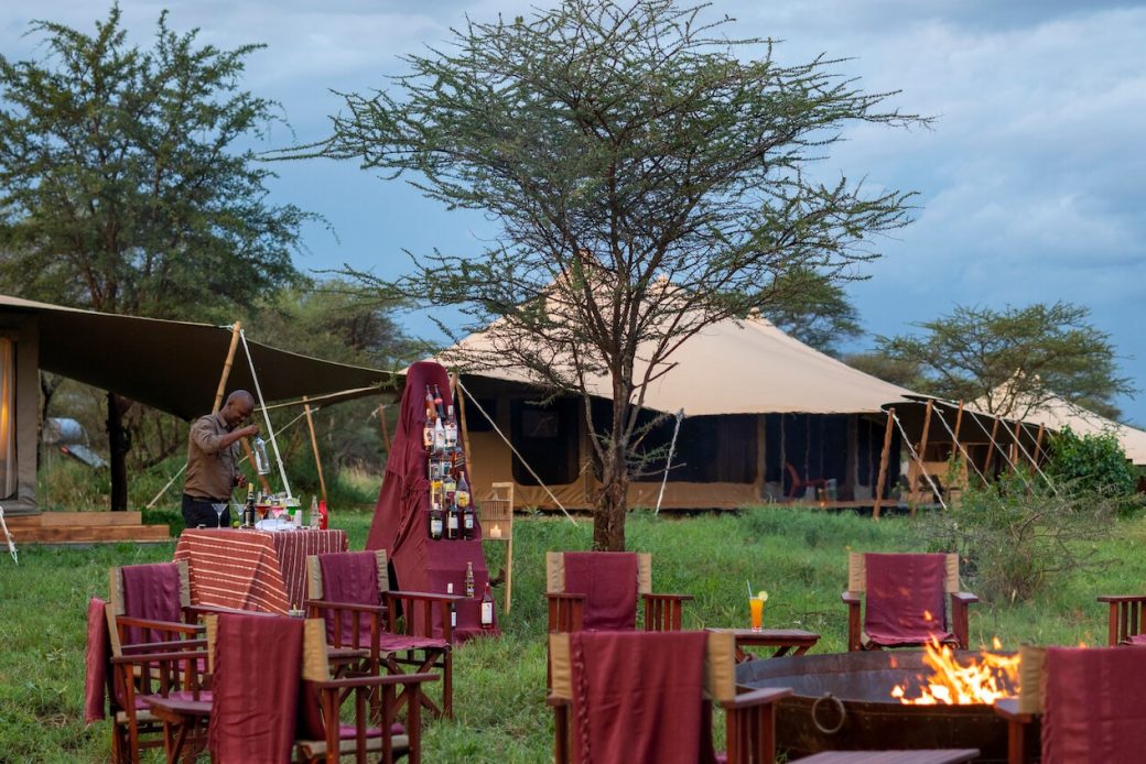 Serengeti Acacia Bliss Featured