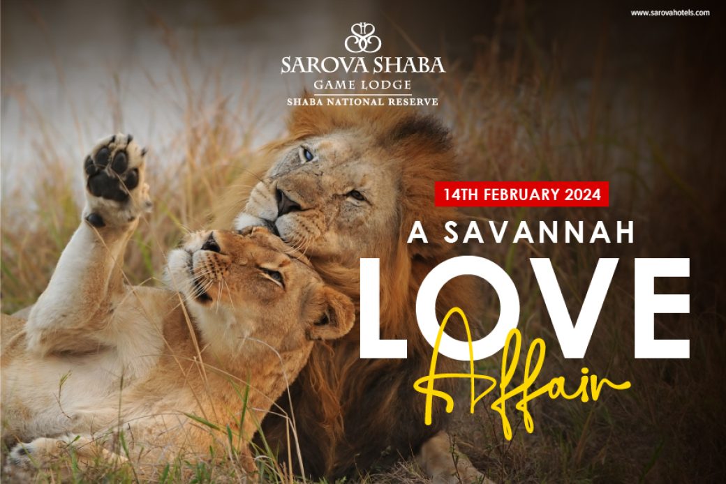 Shaba-Savannah-Love-Affair(goplaces)
