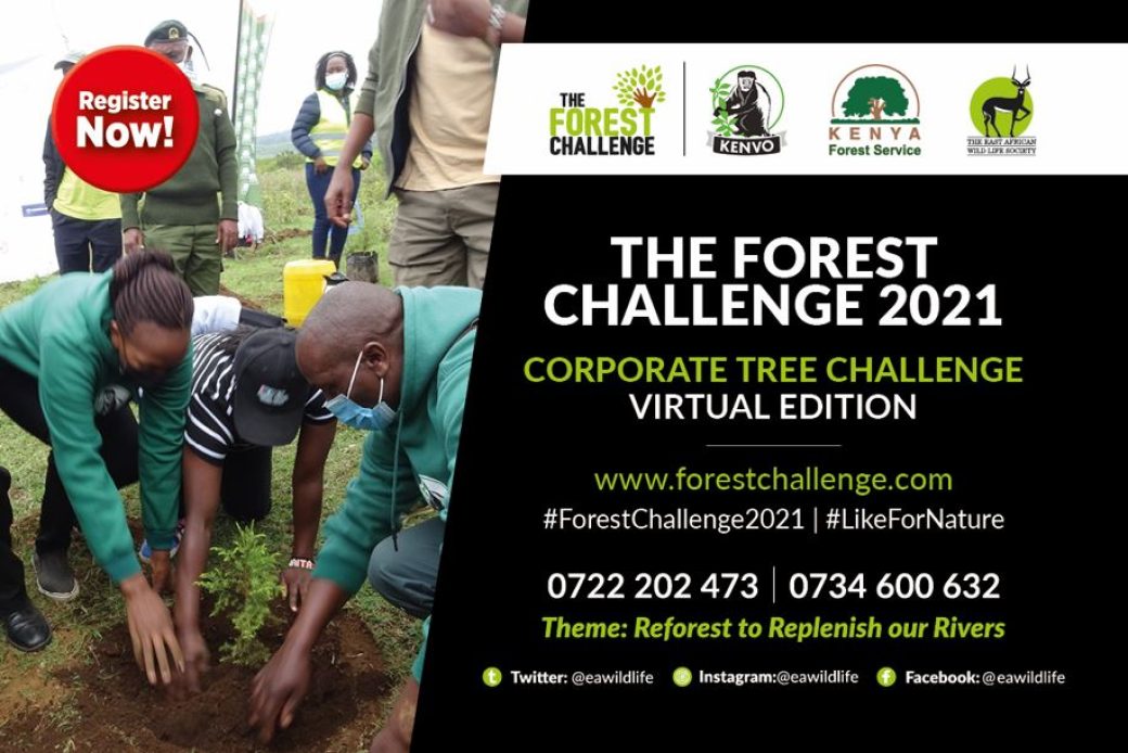 The-Forest-Challenge