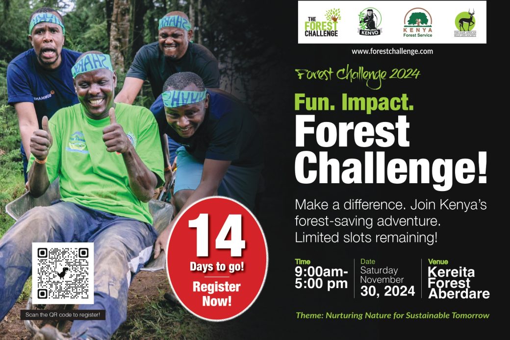 The Forest Challenge