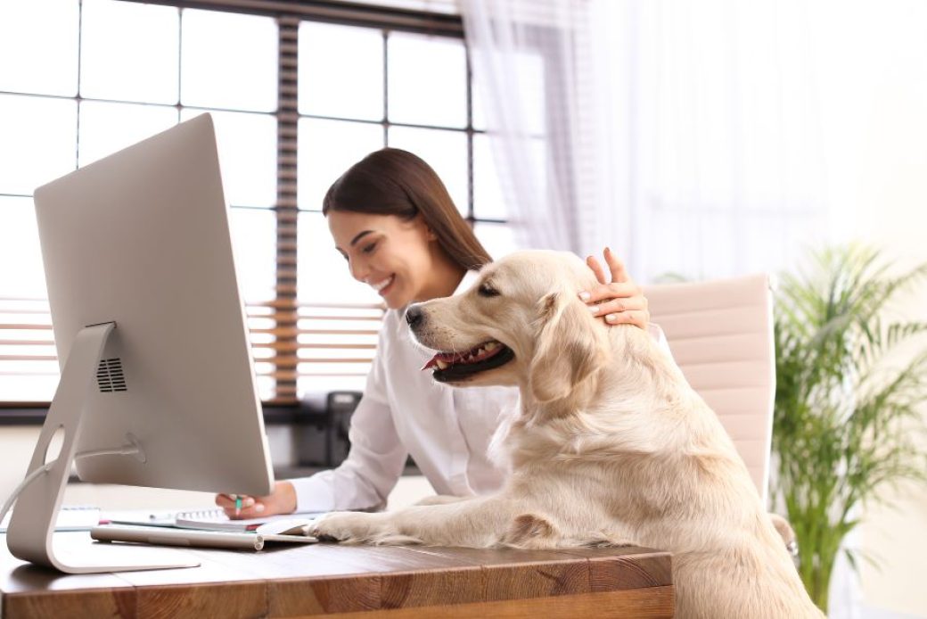 bigstock-Young-Woman-Working-At-Home-Of-331578856